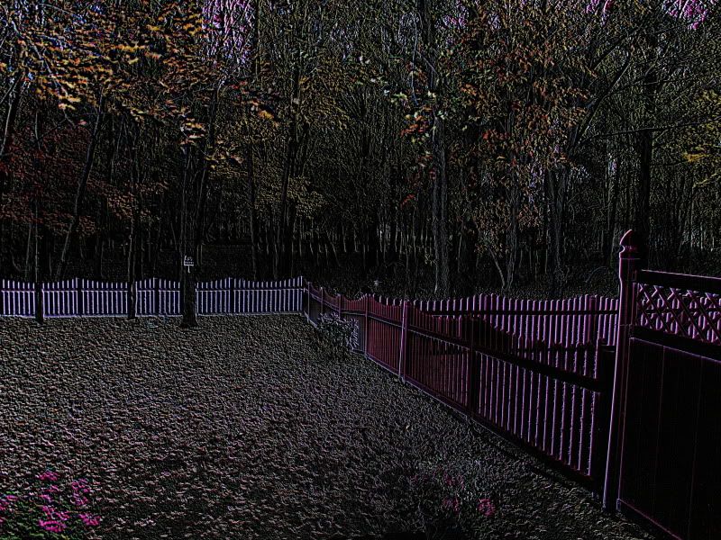 IMAGE: http://i302.photobucket.com/albums/nn84/kezug/IMG_9280.jpg