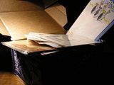 CardBox.jpg image by VioletOrchidea