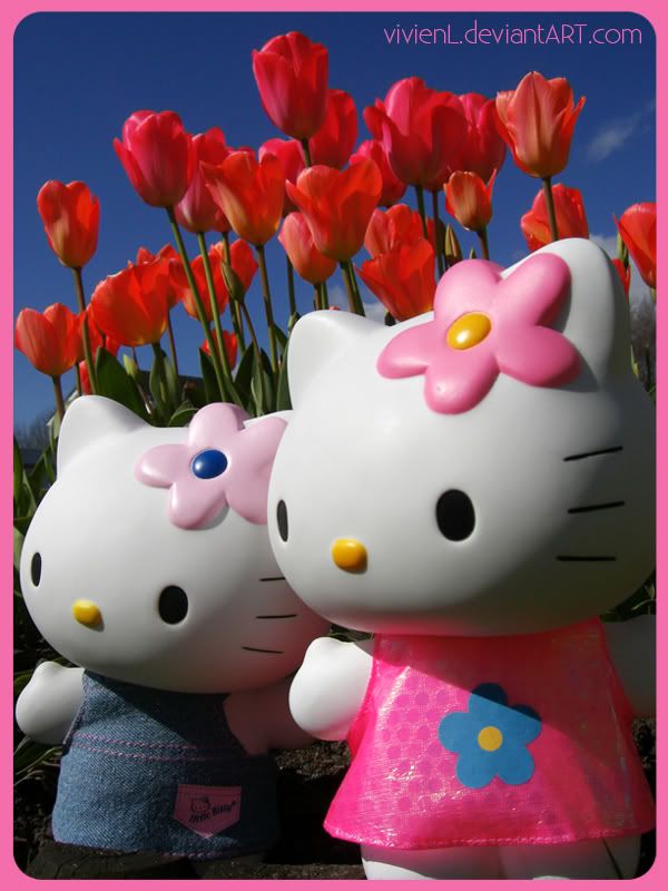 imj98o.jpg kitty image by kely521 imj98o.jpg kitty image by kely521