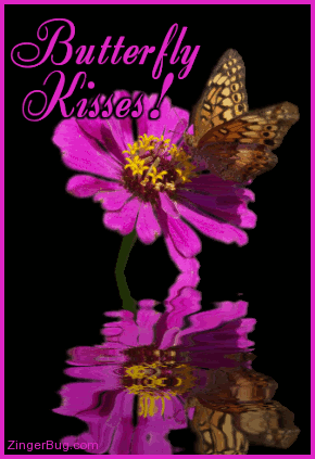 butterfly kisses Pictures, Images and Photos