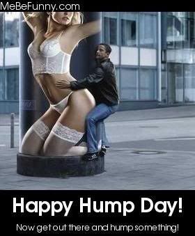 Wednesday is Hump Day