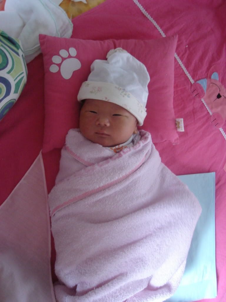 Giày Hiệu  : Lacoste, Timberland, Nike, Adidas, Kappa, Clarks.. - 2