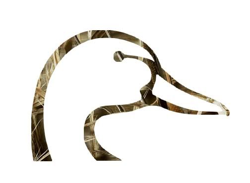 hunting wallpaper. Duck Hunting Wallpaper Ducks