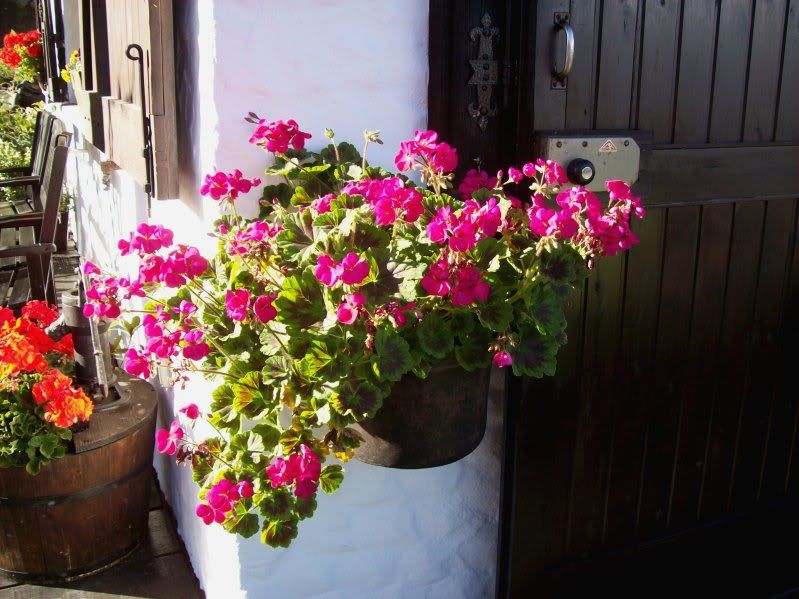 100_3035.jpg