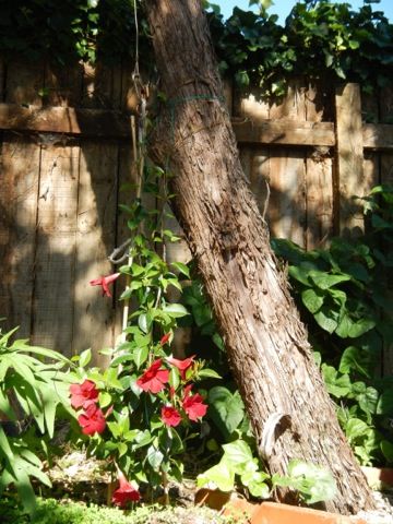  photo file_zps184766d1.jpg
