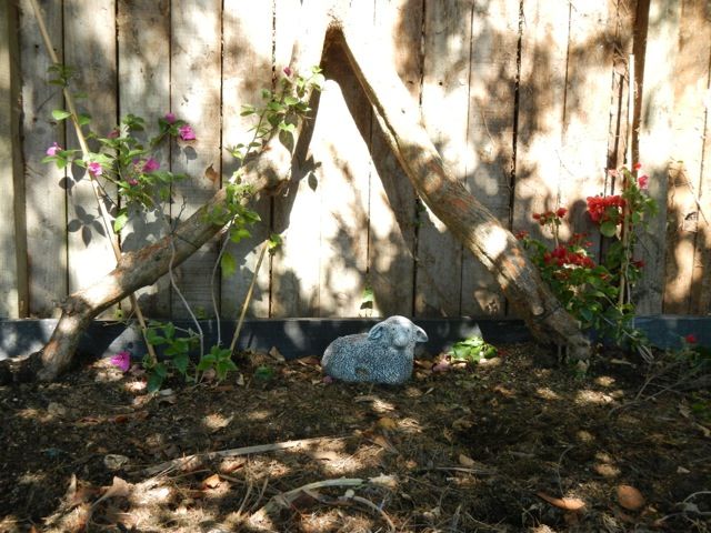  photo file_zpscf429236.jpg