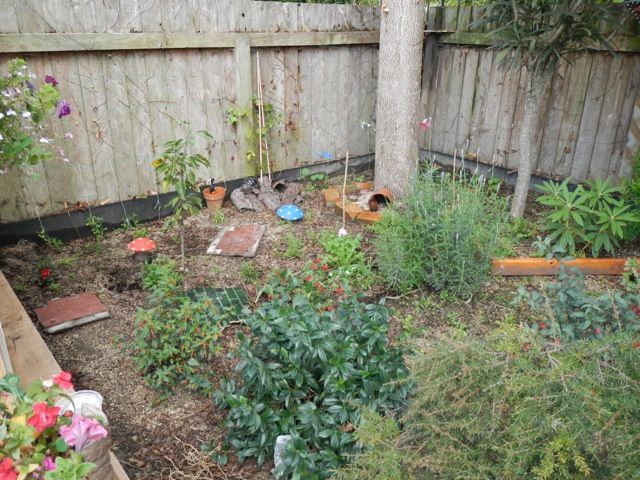 photo file_zps023c1190.jpg