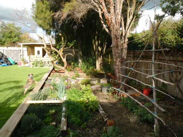 photo file_zpse2c27d91.jpg