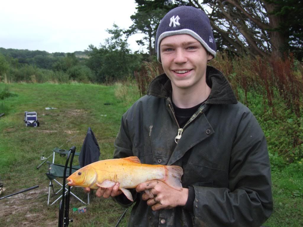 Golden Tench