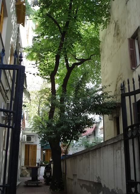http://i302.photobucket.com/albums/nn91/expatriotbarcelona/Thessalonique/6.jpg
