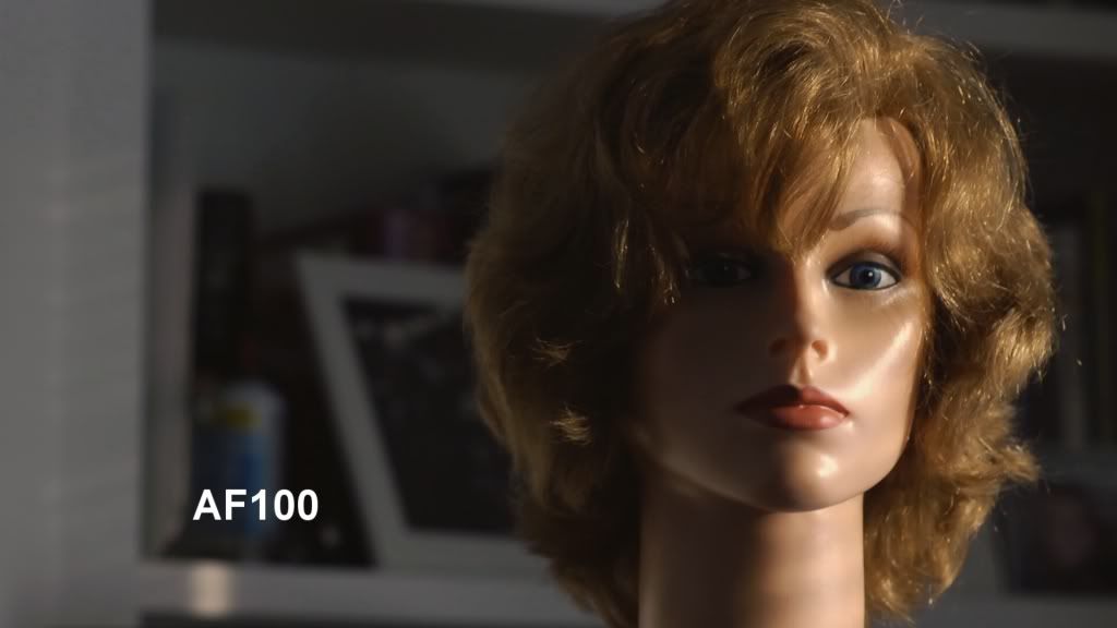 AF100Head.jpg