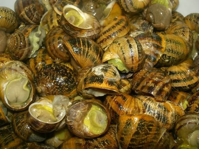 par-boiled snails