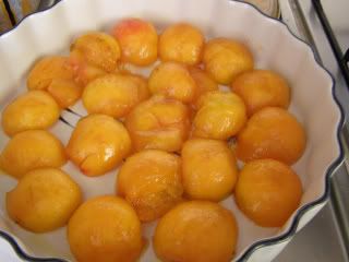 apricot clafoutis