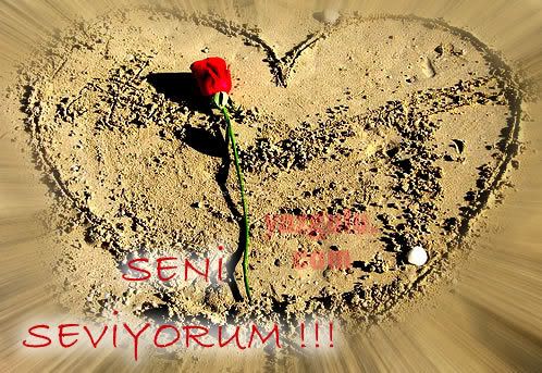seni seviyorum Pictures, Images and Photos