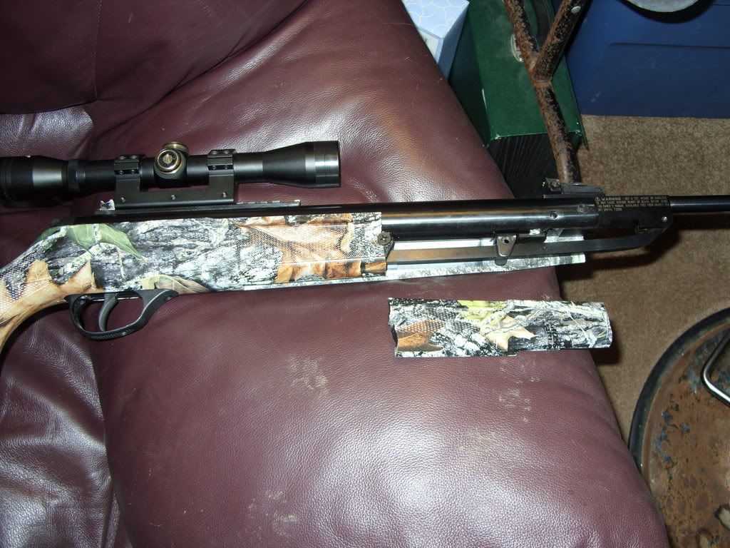 Airgun forum Benjamin Trail NP XL .25 or Walther Falcon Hunter Nitro .25