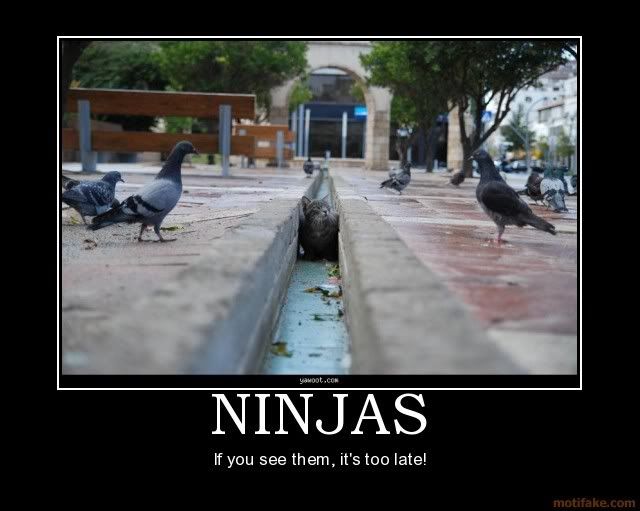 ninja cat photo: ninja ninjas-demotivational-poster-124669.jpg