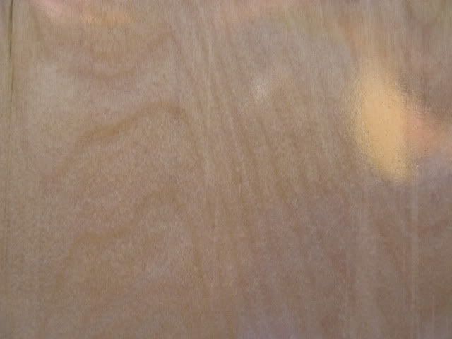 boatninthweek003.jpg