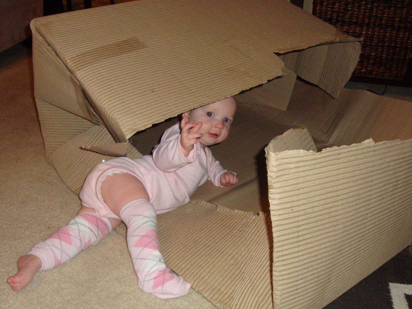 как переводится in front of the toy box