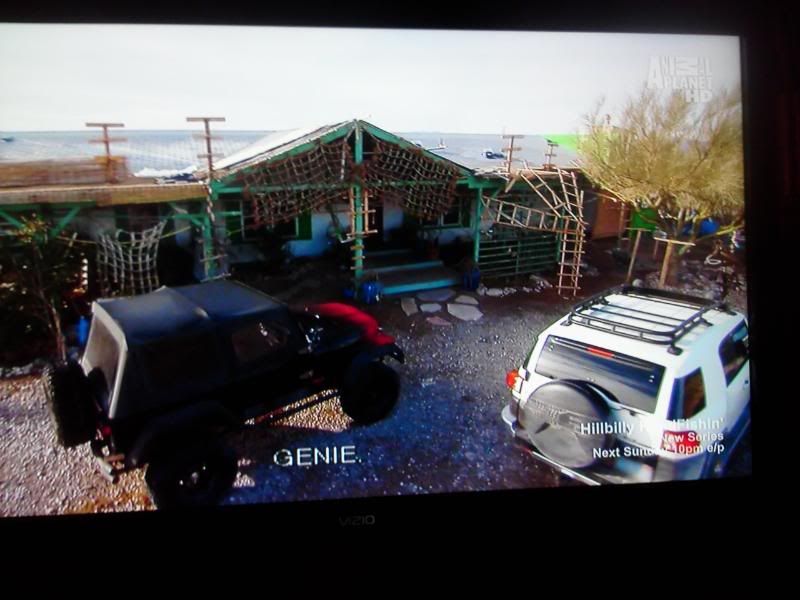 from prostitute to parrots