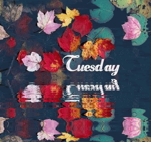 Tuesleaves3.gif