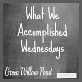 What We Accomplished Wednesday 31 Days to Slash Your Budget Painlessly
