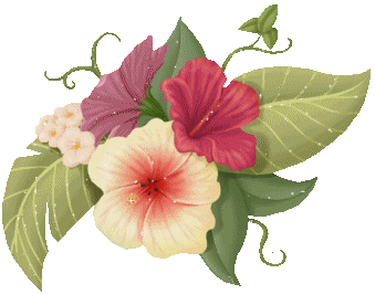 Morning Glory Pictures, Images and Photos