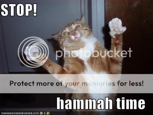 funny-pictures-mc-hammer-cat.jpg