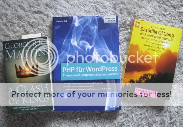 Drei Bücher liegen auf dem Boden: A Clash of Kings, PHP für WordPress und Das Stille Qi Gong