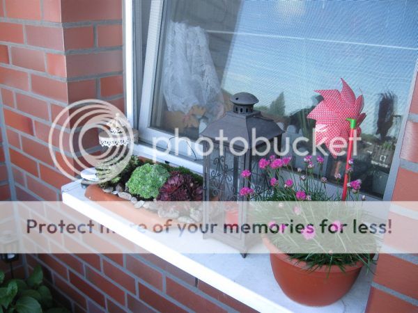 Küchenfensterbank mit Grasnelken und Steingarten
