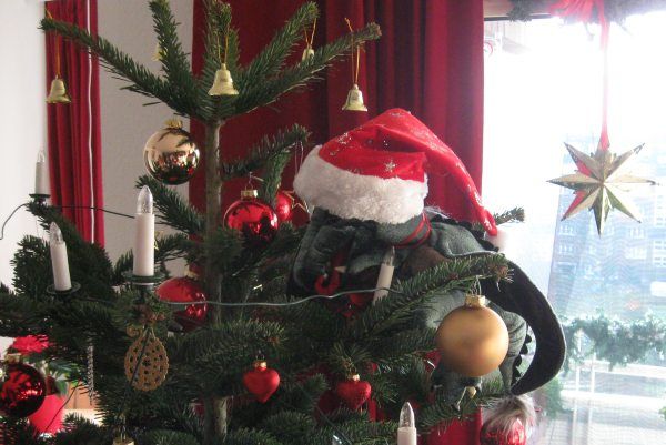 Drache mit Weihnachtsmütze klettert im Tannenbaum herum