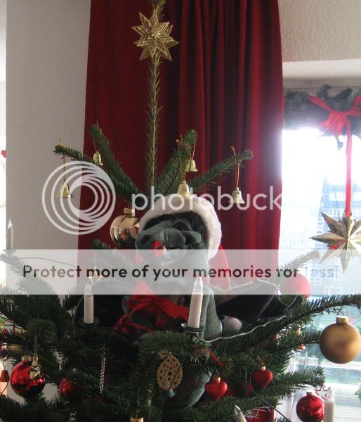 Drache mit Weihnachtsmütze sitzt gemütlich im Tannenbaum