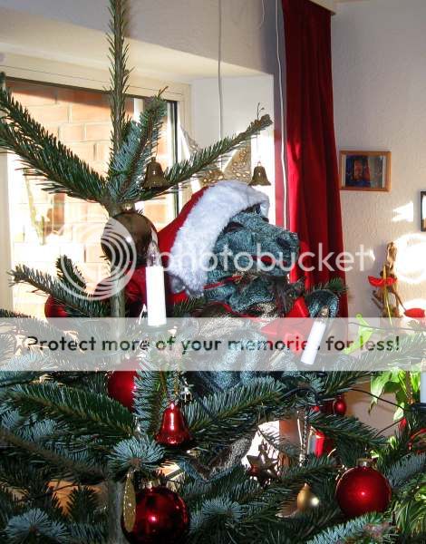 Drache mit Weihnachtsmütze sitzt gemütlich im Tannenbaum