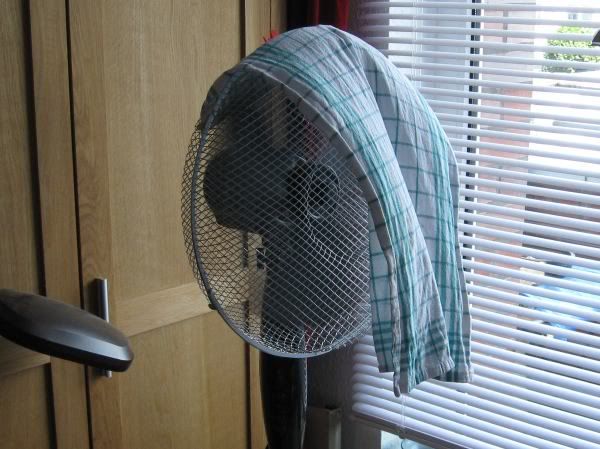 fan with dishrag