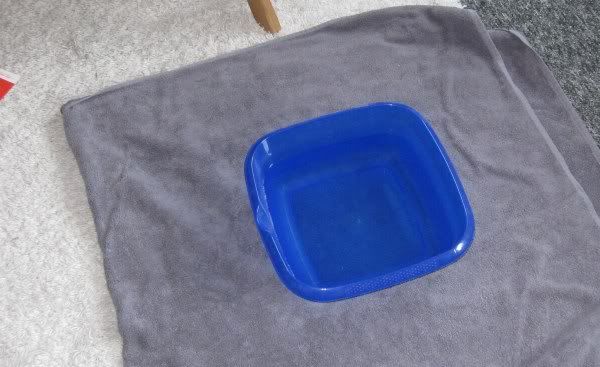 bowl of water