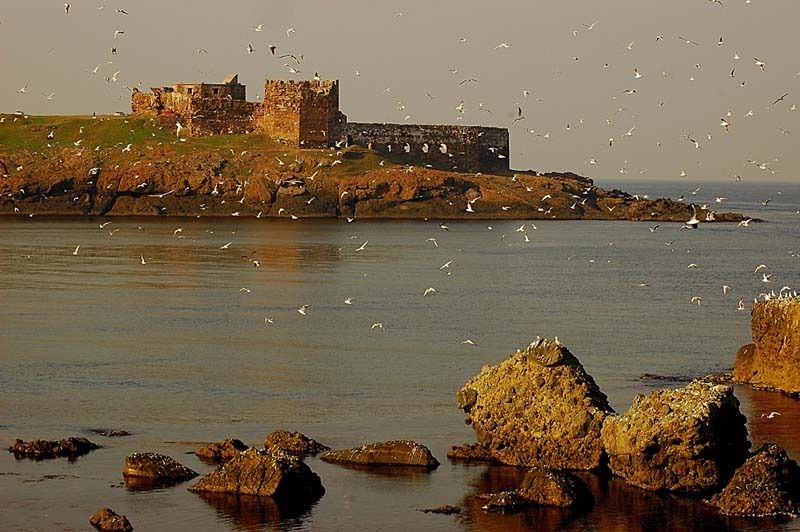 Rumeli Feneri Genoese Castle / Sariyer photo rumelifeneri_castle104.jpg