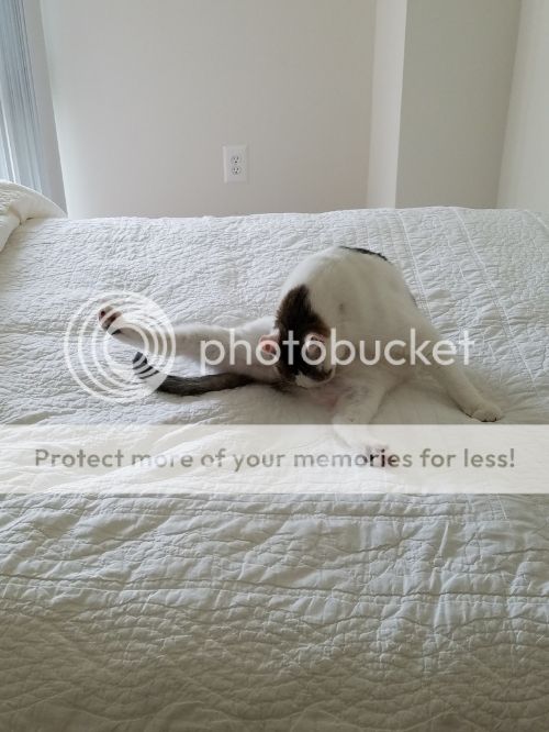  photo 20161114_122907_zpsqjvm9ava.jpg