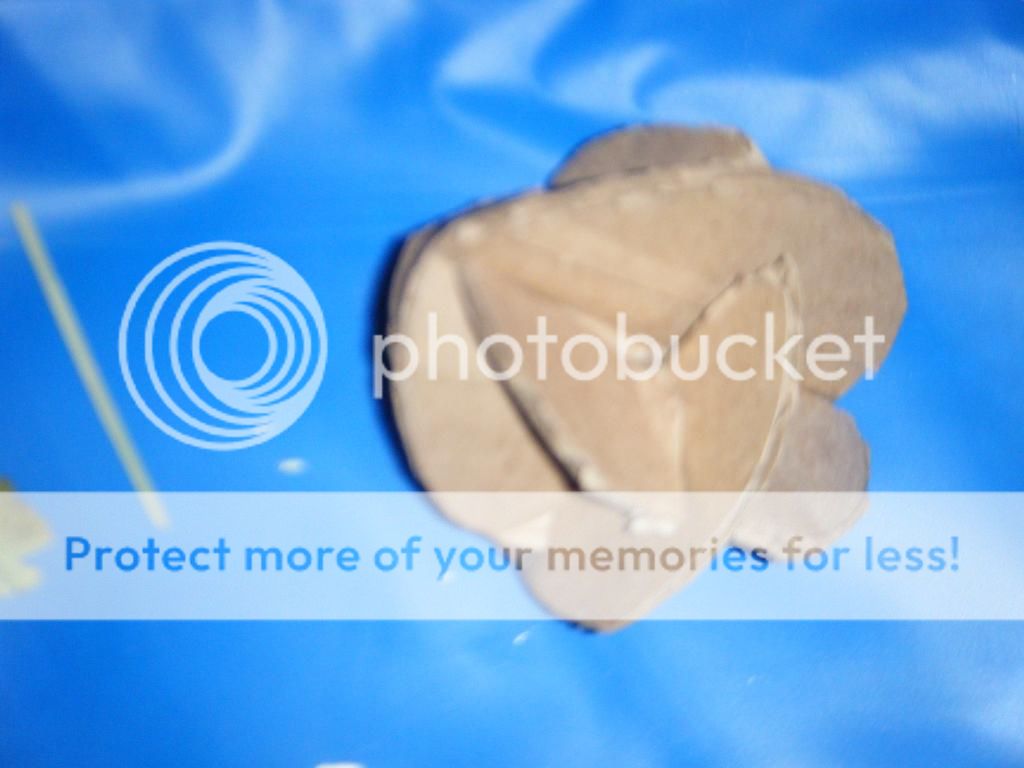  photo DSCF09041_zps0e10b529.jpg