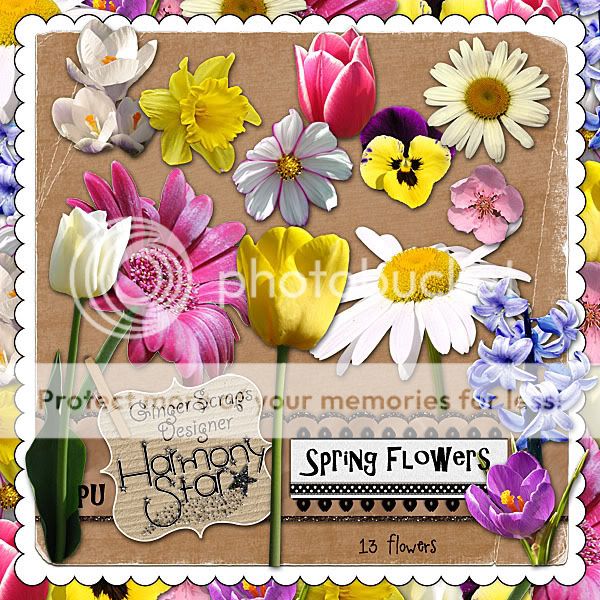 HS_springflowers_preview.jpg