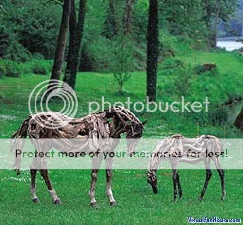 http://i302.photobucket.com/albums/nn94/iplayuplay2/wooden-horses.jpg